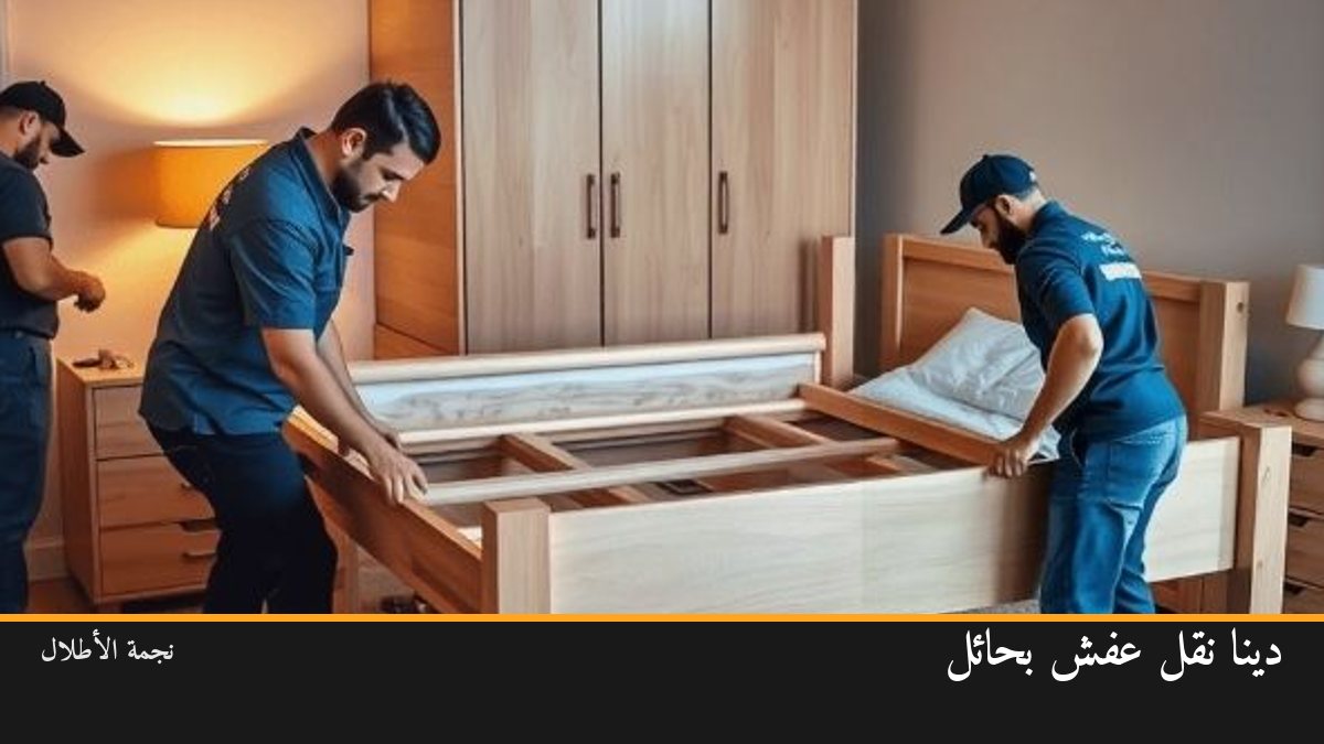 دينا نقل عفش بحائل