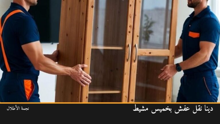 دينا نقل عفش بخميس مشيط