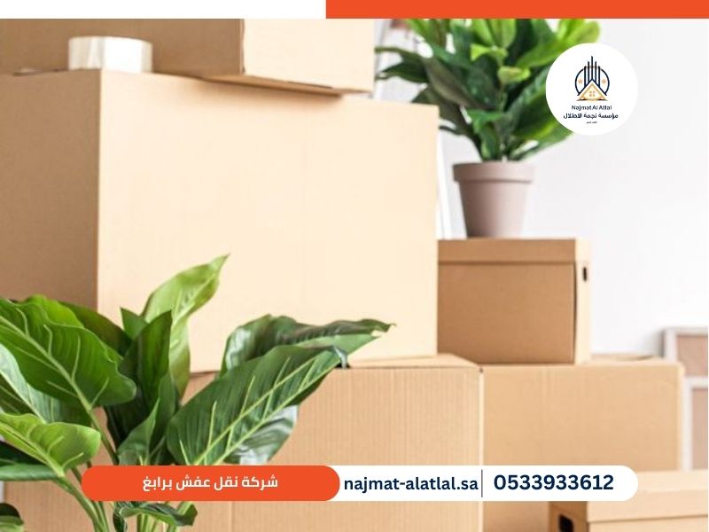 شركة نقل عفش برابغ - نجمة الأطلال